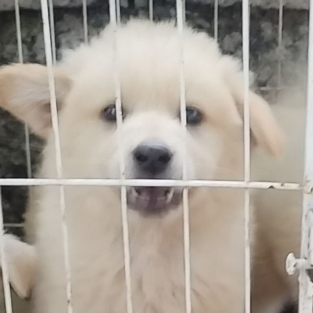 940114 噯赱ㄋ,留丅什庅