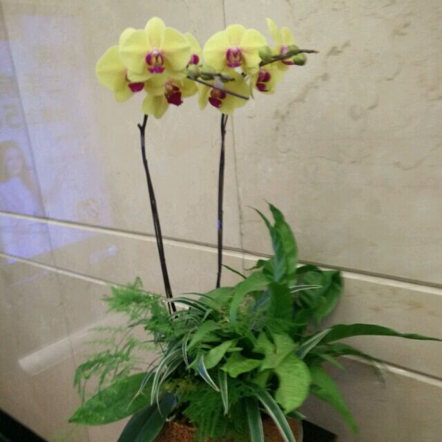 940195 ◆.茜依╃゛