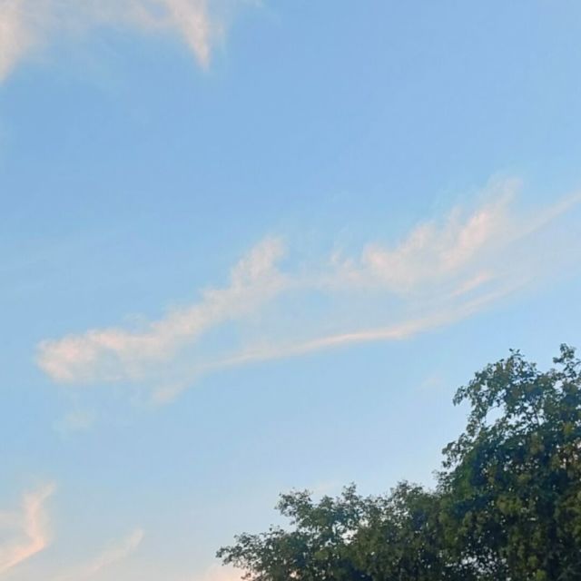 940241 有趣的灵魂画手℡