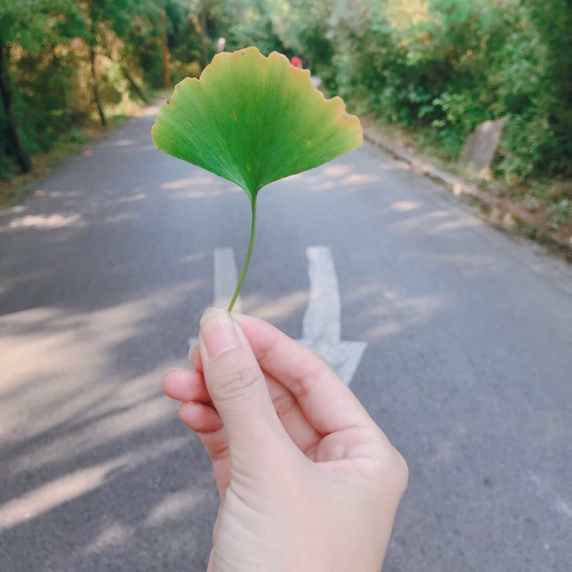 940259 缺氧的美