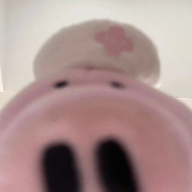 941528 时光不走我陪你度过i