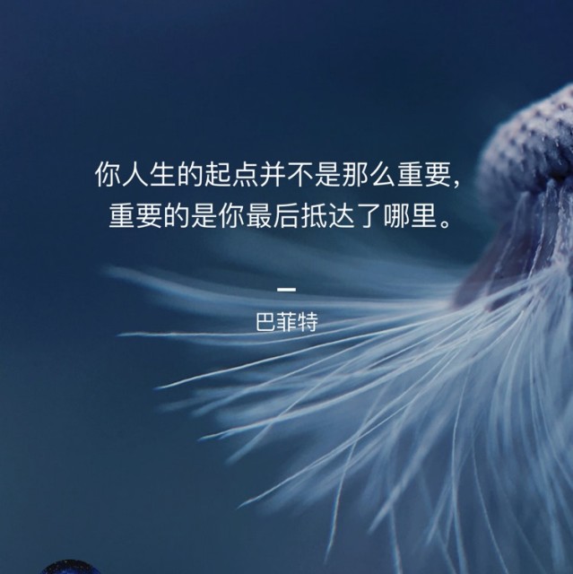941981 小青