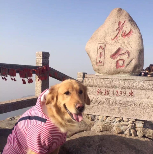 942076 高海东--外贸电子商务