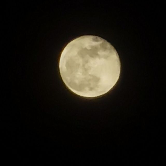 942113 `韦小包`