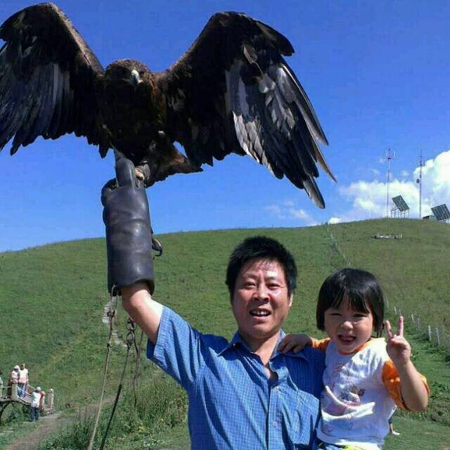 942322 沙漠之舟
