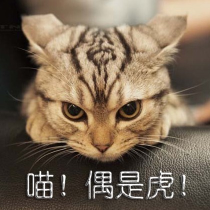 942516 火L炎E焱E燚