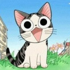 943922 东城小猫