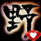 944858 与野同行如鱼得水