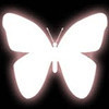 945736  top