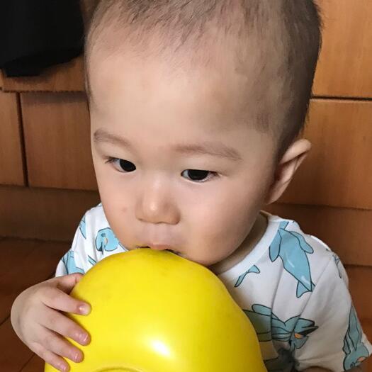 946087 天行