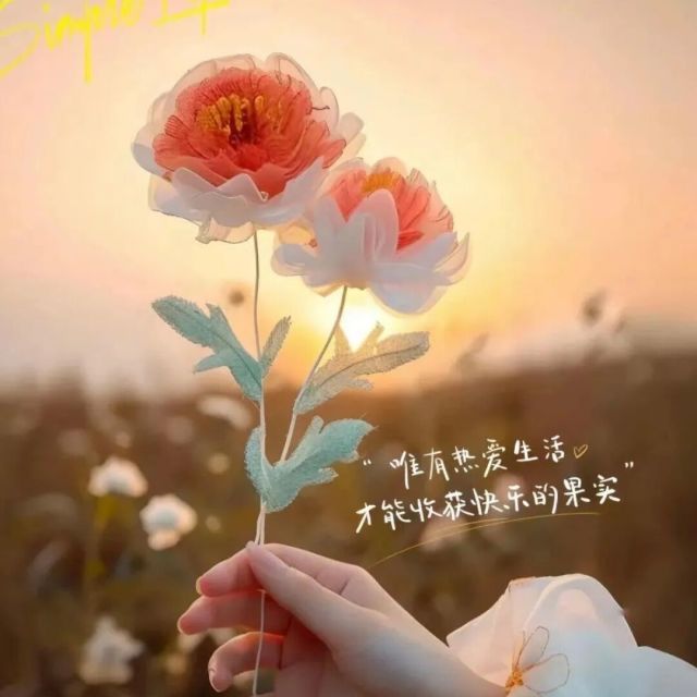 946132 HeartDew