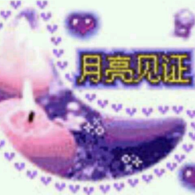 946343 최굉할