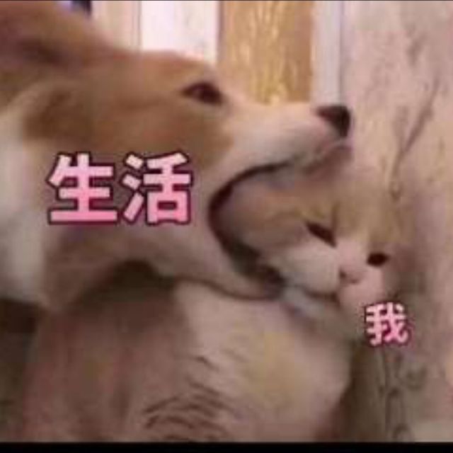 947293 乌鸦