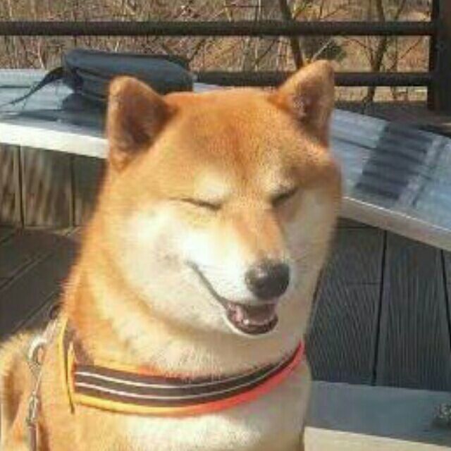 947997 是我醉了