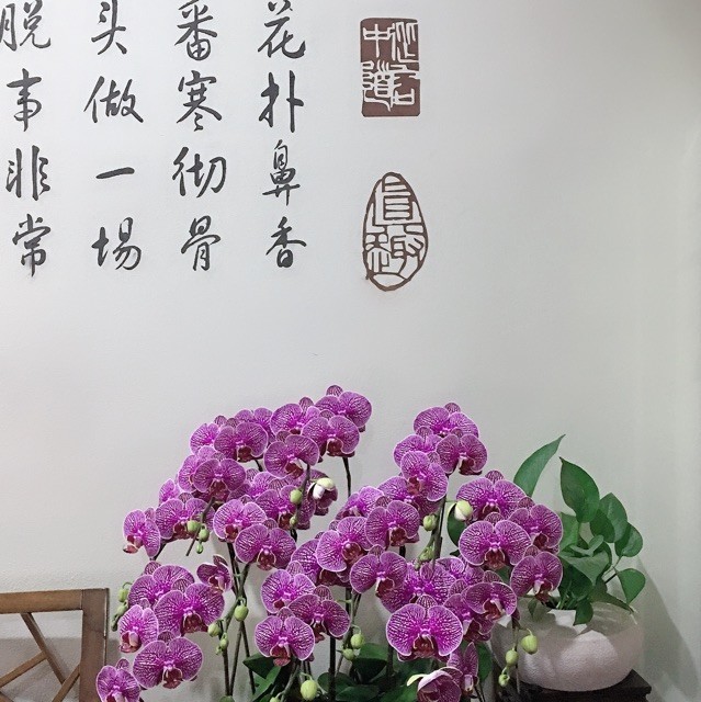 948033 -麦子-