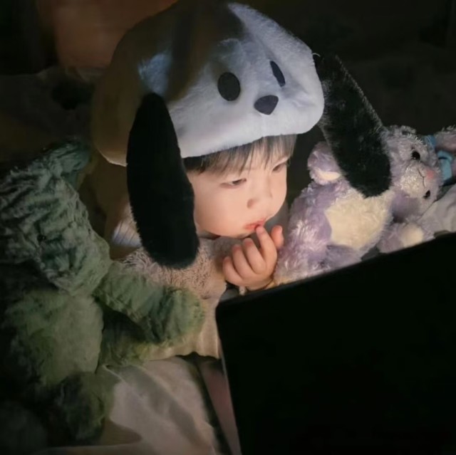 948145 人生若只如初见