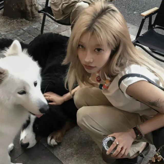 948665 飞吧 