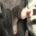 948855 ╃Ｗait...╃