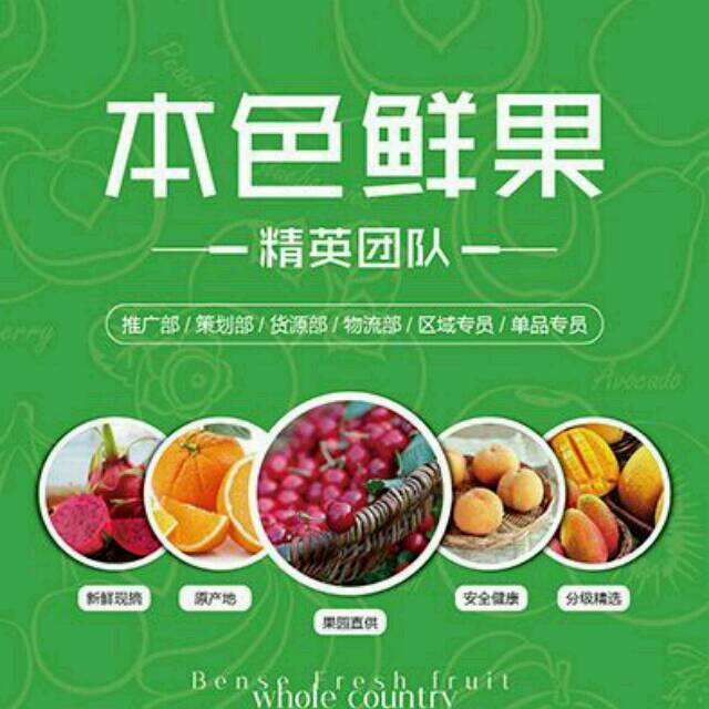 94894 本色