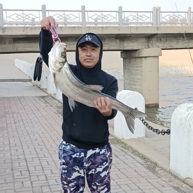949167 翱翔
