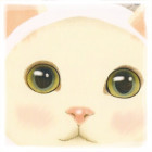 949405 `Gin +a```