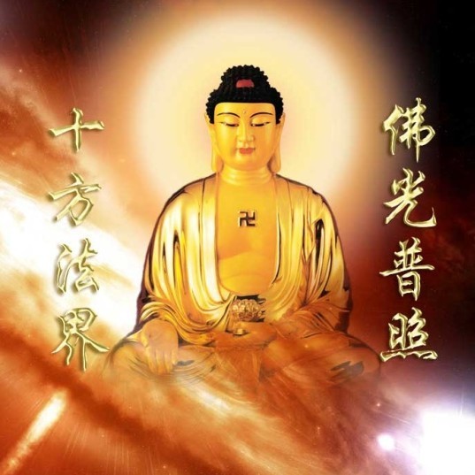 949654 小不点