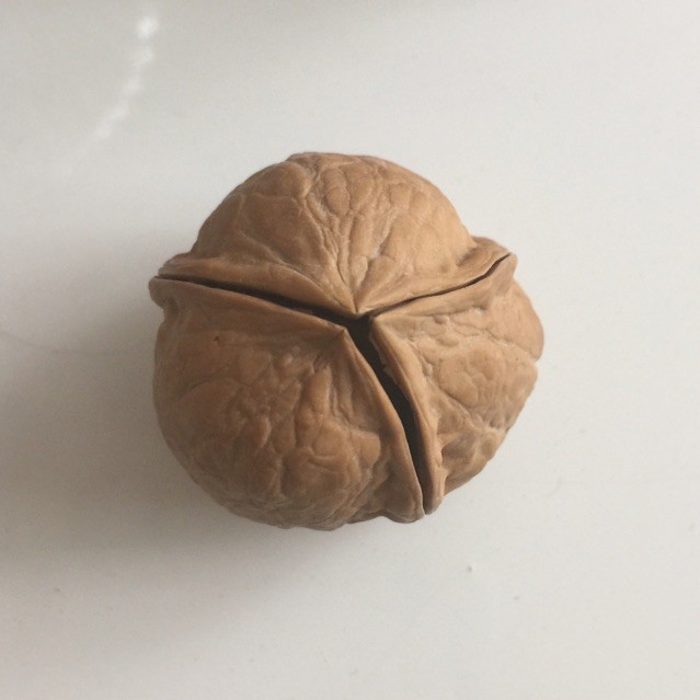 950081 鼎兴科技