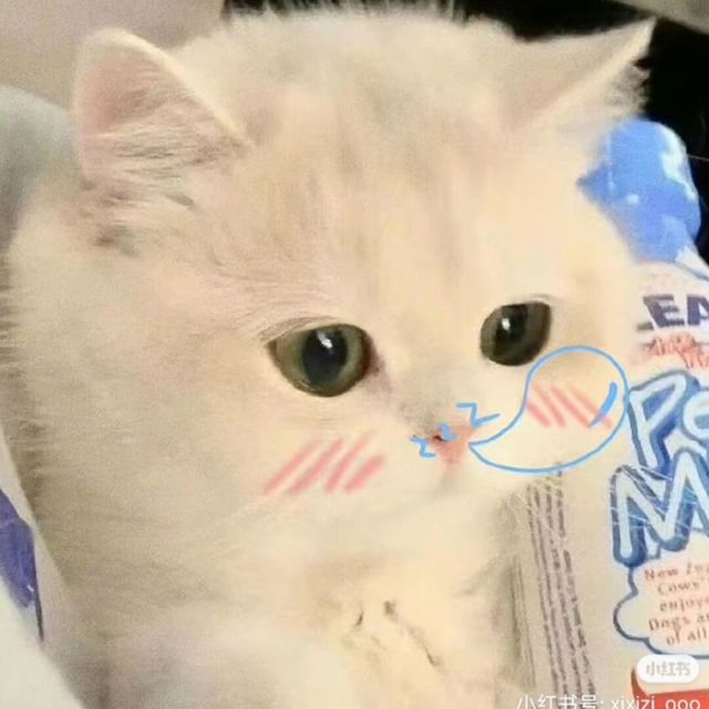 950315 丽文腾