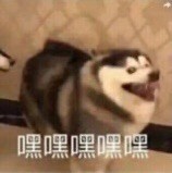 950342 大西瓜、