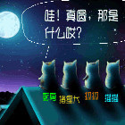 950567 托着鱼散步