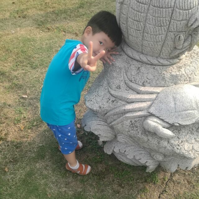 951072  Amigo