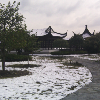 951528 老虎