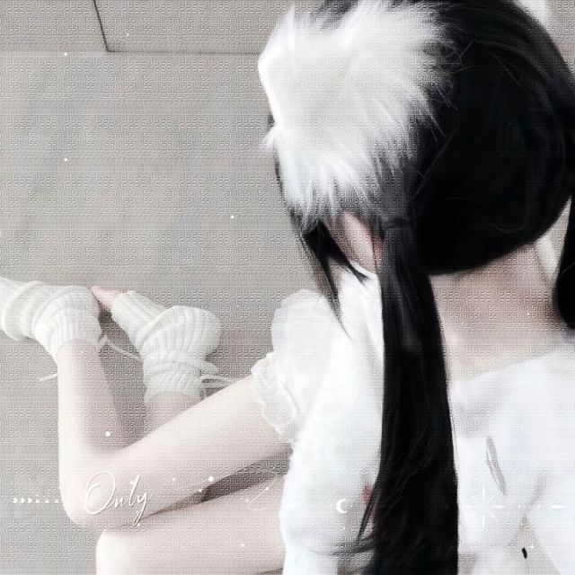 95153 95153