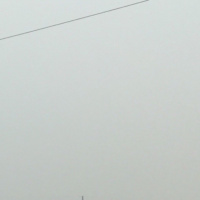 951538 明年今日