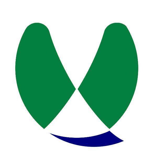 951584 见龙在田