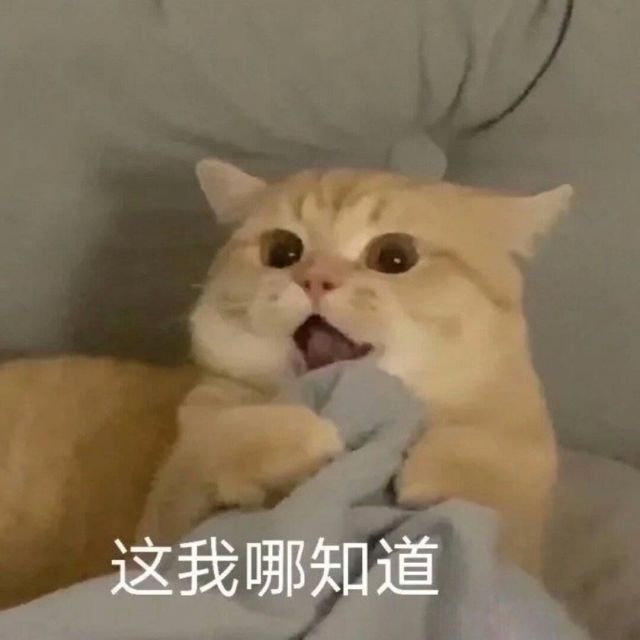 951695 孙某人