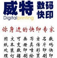 951817 威特