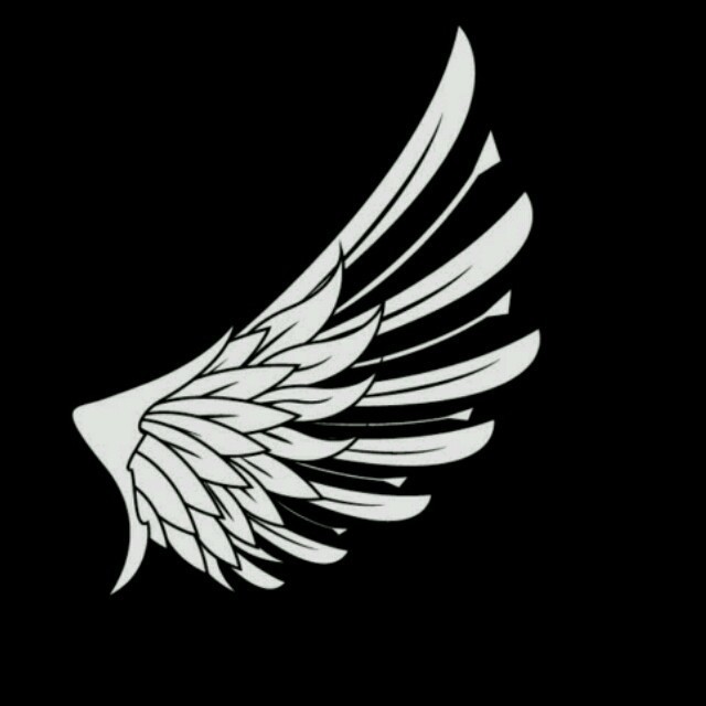 951955 WING