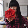 952155 Jenny