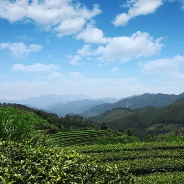 95218 南南