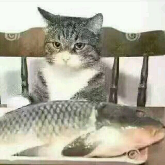 952489 ﹎.卟離`┌