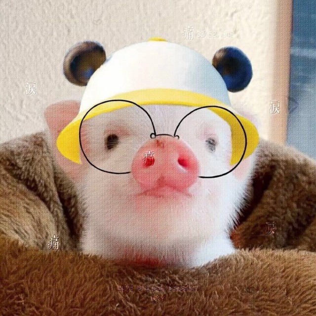 952932 陈炫宇