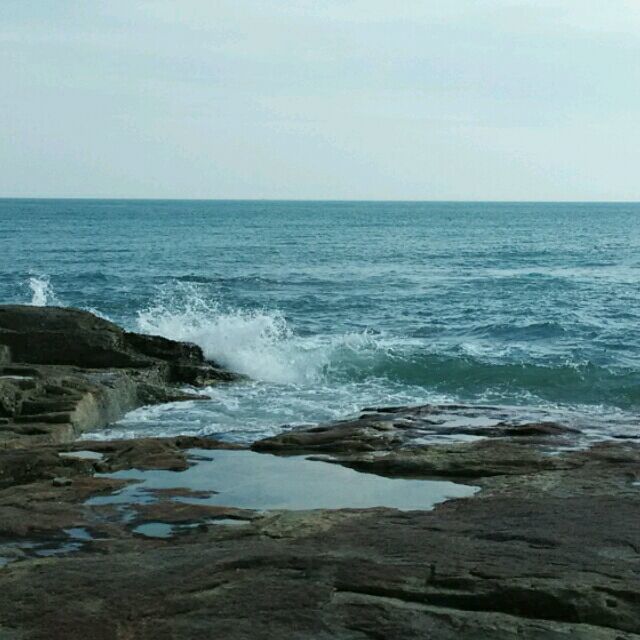 953159 ~飛來飛去~