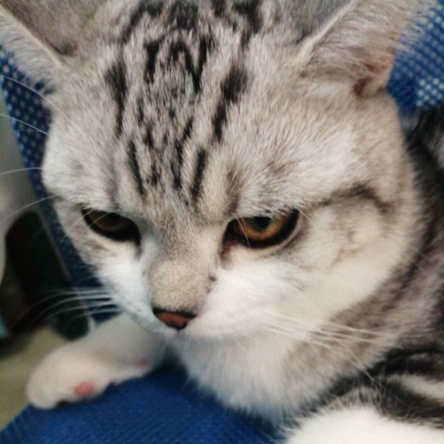 953303 集园房产