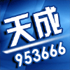 953666 天成-953666