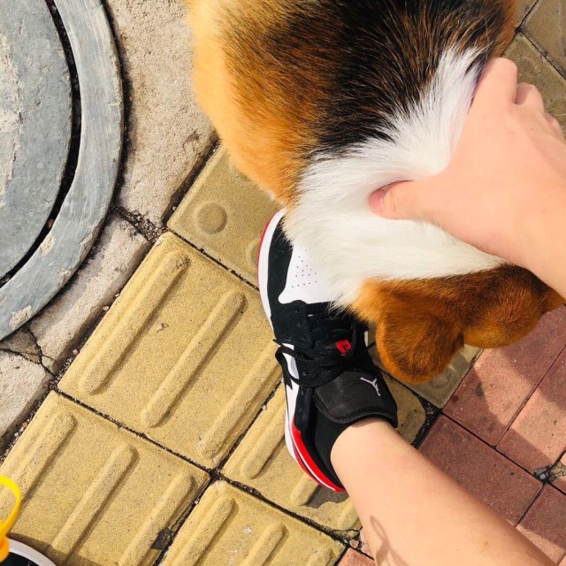953836 ˙Ꙫ˙