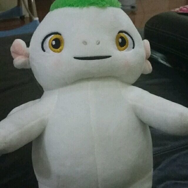 953885  大元
