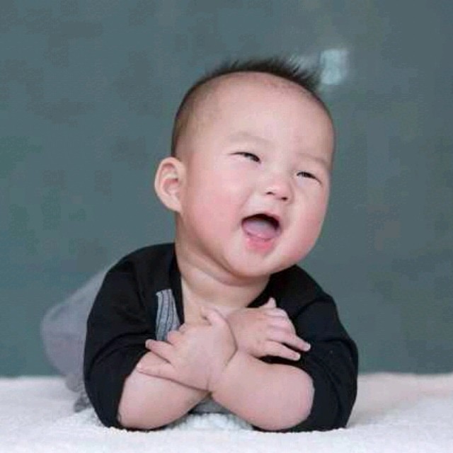 954319 兔兔虎