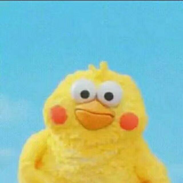 954429 