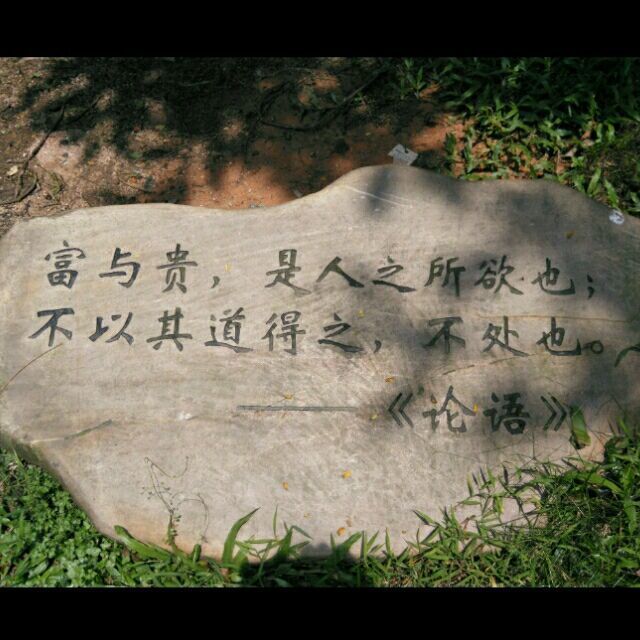 954603 zhou